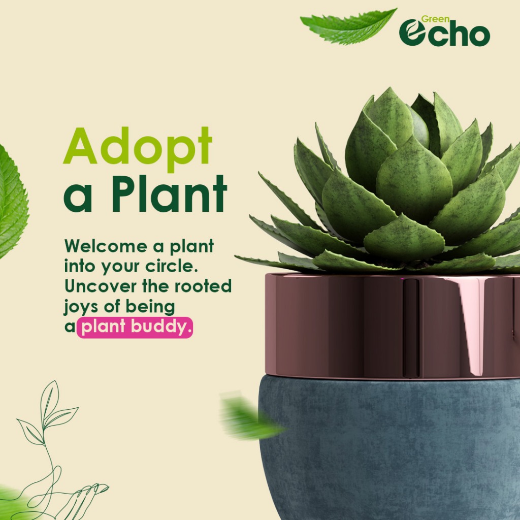 Adopt a Plant campaign card showing a potted succulent
